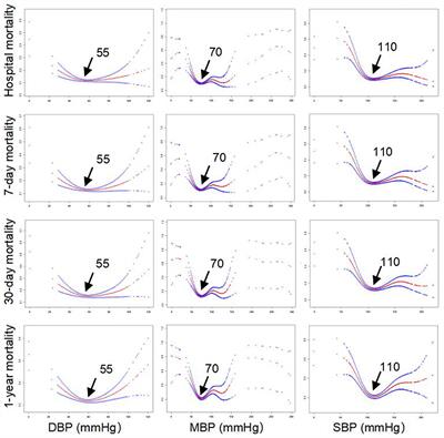 U-Shaped Association Between Blood Pressure and Mortality Risk in ICU Patients With Atrial Fibrillation: The MIMIC-III Database